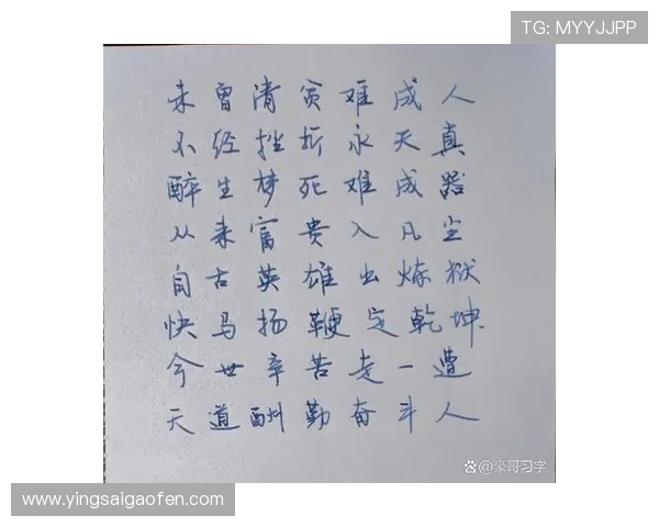 天使之争：窥探命运的丝线，品味人性的炼狱